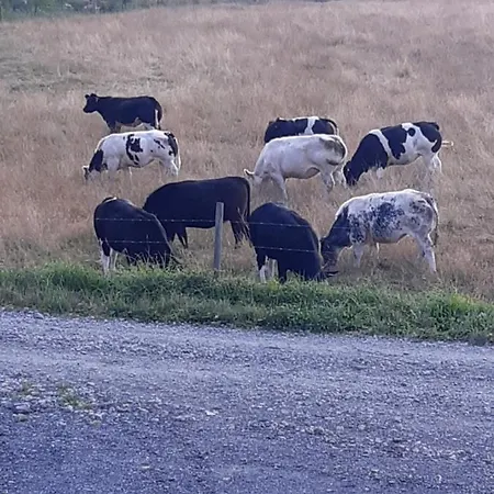 Les De La Fontaine De Brul Bed and Breakfast Sainte-Ode