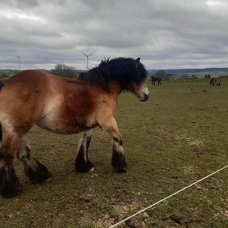 Les De La Fontaine De Brul 3* Sainte-Ode